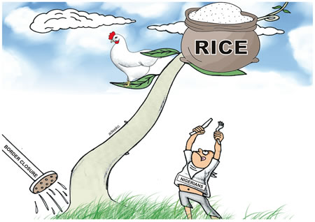 RICE