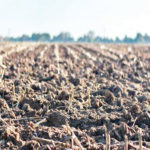 Soil depletion