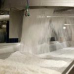 Sugar production, Sugar