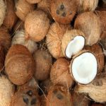 Daily uses of coconut, Coconuts