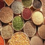 empowers agricultural export products