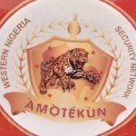 Ekiti Amotekun, Amotekun and, Lagos Assembly