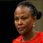 Mkhwebane, DA, parliament
