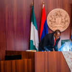 Insecurity, National Security Council