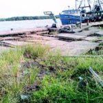 NIMASA partners Ministry of Agriculture against illegal fishing
