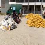 marijuana , Customs , Kwara