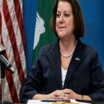 million people need immediate help, US interested in PIB bill, VISA, US ambassador, Nigeria