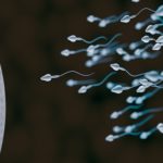 sperm