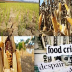 Nigerians food crisis