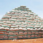 rice, coronavirus, RIFAN