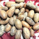 Experts list drugs, Bitter kola, malaria, Bitter kola lowers effectiveness of antibiotics