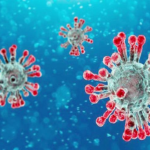 FG reinstates enforcement, COVID-19 causes setbacks Salah, Elneny, COVID-19, Germany, COVID-19, Christmas markets, COVID-19 cases, US, UK, Vaccine, cancer occurrence, COVID-19, Kwara, cases, COVID-19, COVID-19, Africa, cases , Kebbi deputy gov, Youths, COVID-19, coronavirus, study, animals, cats, dogs, Kano, cases, Ekiti, Benue Assembly Speaker, COVID-19,COVID-19 is punishment from Allah, Enugu, cases, Kenya, COVID-19, cases, COVID-19, Kwara, deputy governor, Egypt, cases, Sokoto discharges 10 patients, COVID-19, Brain damages, study,COVID-19, Kano, cases. Enugu, covid-19, cases, Malaysia reports zero new COVID-19, covid-19 and cognitive decline