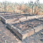Zamfara community