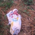 newborn baby