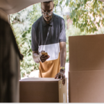 Bolt business delivery