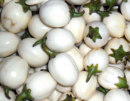 garden eggs