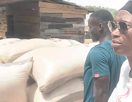 distributes palliatives