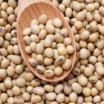 Olam Agri partners government to boost Increased quality yield of soybean production towards reviving a