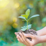 environmental earth