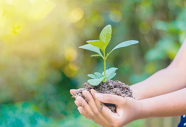 environmental earth