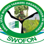 Ondo govt urged to increase agricultural GDP SWOFON, Women farmers seek role in agric budgeting, policies for 2023 fiscal year