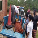 Anambra State, Police, have arrested a driver, for allegedly crushing a middle-aged woman to death, near Onitsha.
