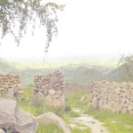 landscape of Mambilla Plateau