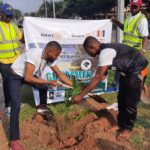 plant trees