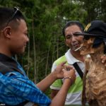 families dig up corpses