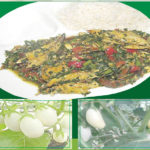 egg