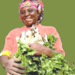 GreenWealth Project