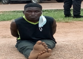 serial killer, Ibadan, suspect, herbalist