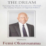 murky water of nigerian politics