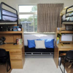 How to live with a roommate