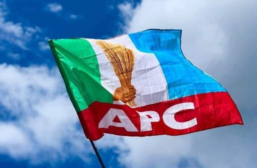 APC caretaker committee, Zamfara by-election