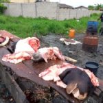 Foundation distributes cow