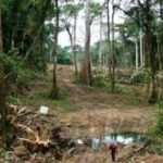 Toxic waste kills three, Company denies dumping toxic