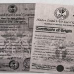 council workers falsify information