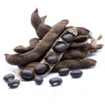velvet-bean-seeds-mucuna-pruriens