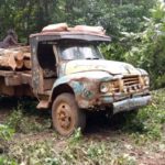 Shasha Forest Reserve