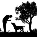 Man’s best animal friend