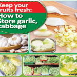 cabbage