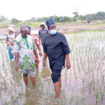 OGUN