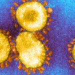 a corpse Another new coronavirus variant found, covid-19 variants