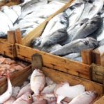 Lagos Seafood Festival