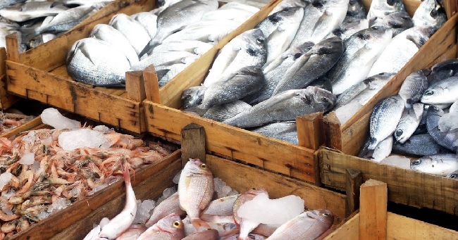 Lagos Seafood Festival