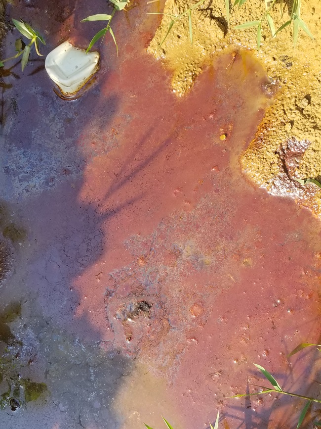 Ekorinim oil spill 