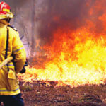 3 injured valuables, FG laments missing links in Nigeria's healthcare during emergencies, Fire guts engineering firm in Delta, Arsonists set INEC facilities ablaze in Enugu, bushfire, 4 feared dead, Fire outbreak in 2020, fire in niger, fire guts Ladipo spare parts market, COVID-19 Lockdown: Fire safety expert Mayowa George provides guidelines for Nigerians