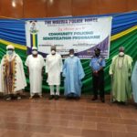 constitutional roles for traditional rulers