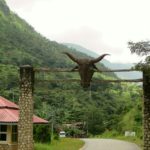 Obudu Mountain Resort